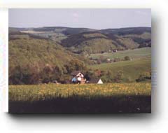 Grner Tal